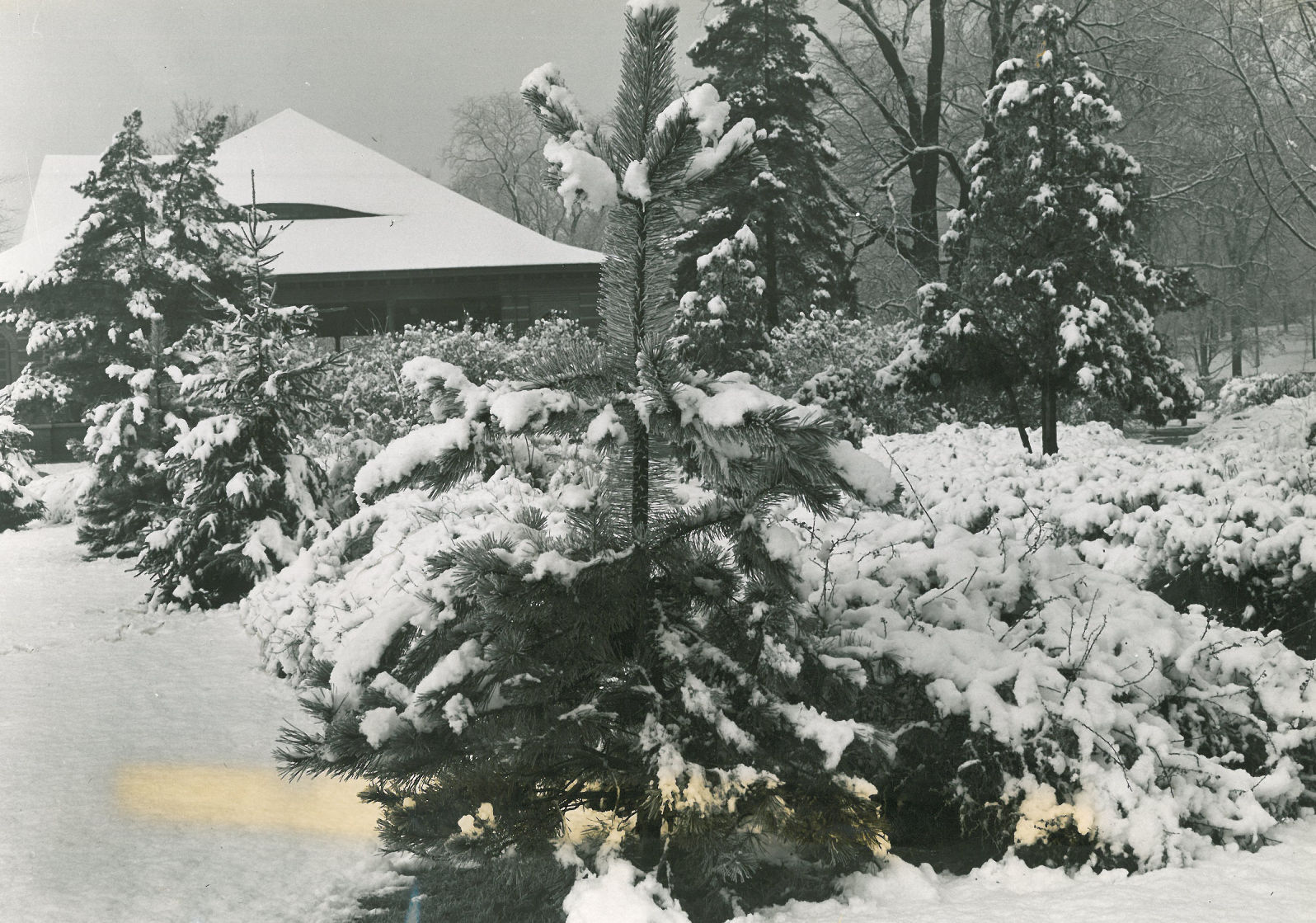 1941